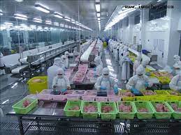 食品加工廠新工廠規(guī)劃的要點(diǎn)有哪些？
