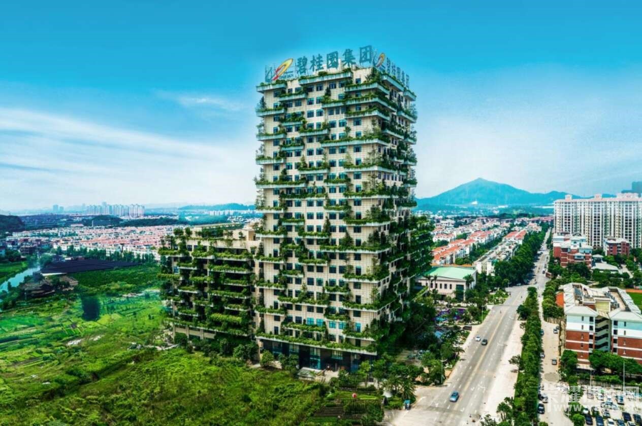 碧桂園旗下公司—博意建筑設計院項目管理
